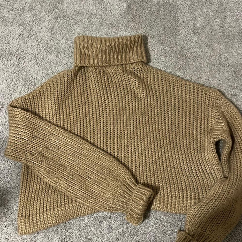 Turtleneck cropped sweater
